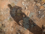 Fishing Shadow