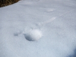 Fly Rod Imprint In The Snow