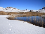 Eland Dam In The Snow