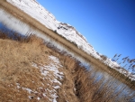 Snowy Kamberg