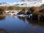 Lower Twin Frozen