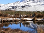 Warren Fishing Below Snow Covered Mountains