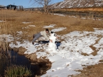 Warren Prior Tackling His Snow Fly Fisherman