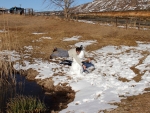Warren Prior Tackling His Snow Fly Fisherman