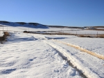 Snow Tracks