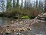 Cascades looking worse for wear