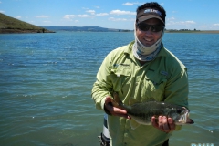 Bass Bashing