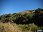 Natural forest along the Bushman\'s