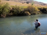 Nick into a fish on the Bushman\'s River