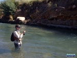 Warren into another fish