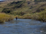 Warren fly fishing a run on the Bushman\'s River