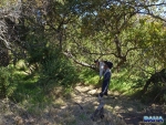 Bush bashing to the next pool