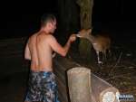 Daniele feeding a bushbuck