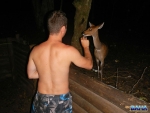 Daniele feeding a bushbuck