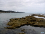 View of the ledges at Vidal