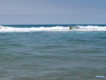 Bruce fishing off a sand bar