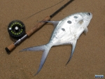 A nice wave garrick caught at Cape Vidal