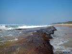 The northern ledges at Cape Vidal