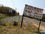 A sad sight - one cross for every rhino poached