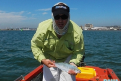 Durban Harbour Bashing