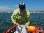 Nick With A Needlescale Queenfish