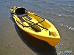 The Freedom Hawk 12