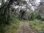 Walking to the river