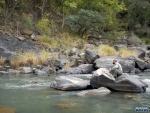 Paul fishing the Umkomaas
