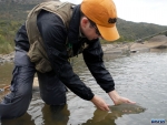Releasing a scaly