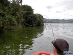 Fly fishing for a rod we lost in a tree. Rod on!