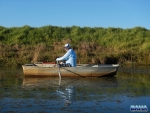 Rory rowing through some weed at Lake Ringstead