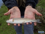 First fish of the trip