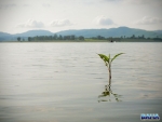 Midmar Scenery