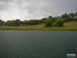 Heavy Rains