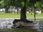 Storm Carnage