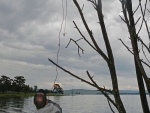 Nick Nortje Retrieving His Favourite Fly