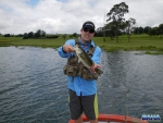 Warren With A Slightly Bigger Bass