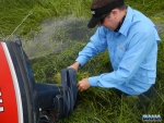 Warren De-Weeding The Prop