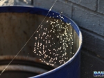 Spiders And Bugs (And Boy Were There A Lot)