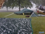 Carnage after a hail storm at Midmar