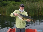 3kg largemouth bass