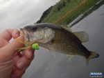 First bass of the day