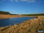 Our afternoon water