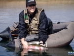 Warren releasing a trout