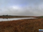 Trelevans 4 in the mist