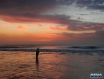 Nick in the surf