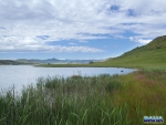 Another Sterkfontein view