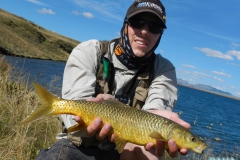 Sterkfontein Gold