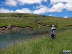 Nick spotting fish in the shallows