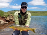 Warren Prior with a smallmouth yellowfish at Sterkfontein Dam